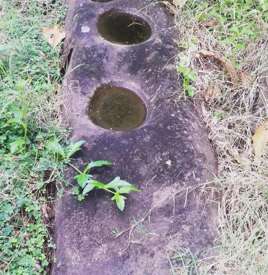 Bencastle Villa Gros Islet Exteriör bild