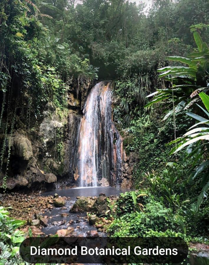 Bencastle Villa Gros Islet Exteriör bild